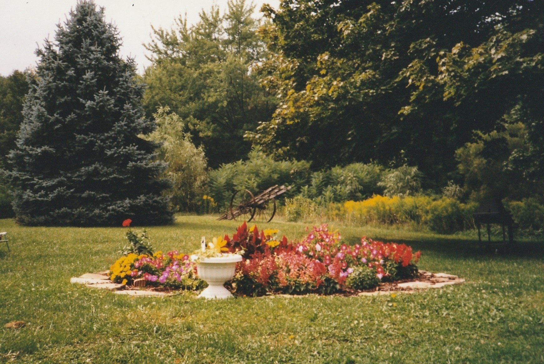 Close-up of the Westfield garden flower bed